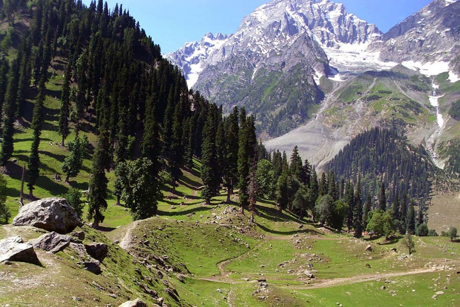 Places To Stay In Sonamarg