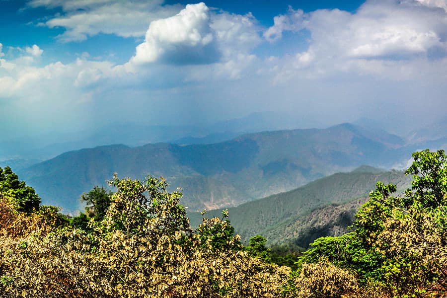 Places To Stay In Binsar