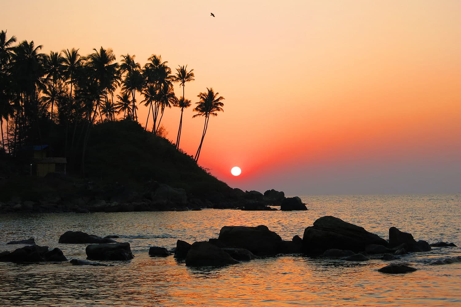 Goa Wildlife Goa Wildlife