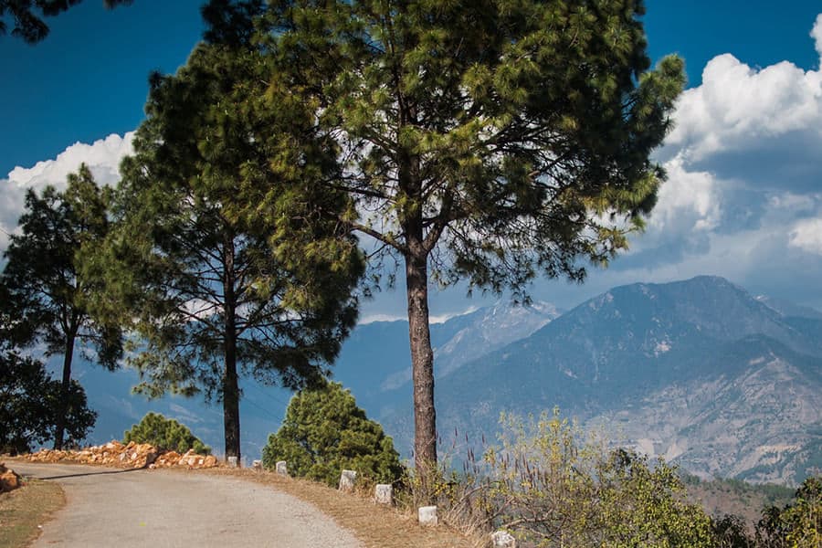 Places To Stay In Askote Places To Stay In Askote